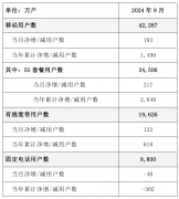 中国电信 5G 套餐用户数达 3.45 亿户，2024 年 9 月净增 217 万户