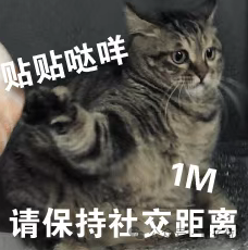 “猫猫运动方程”首次被科学家破解，登上《美国物理学杂志》